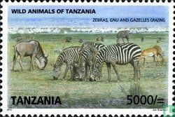 zebras