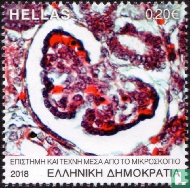 La science et l'art vus au microscope