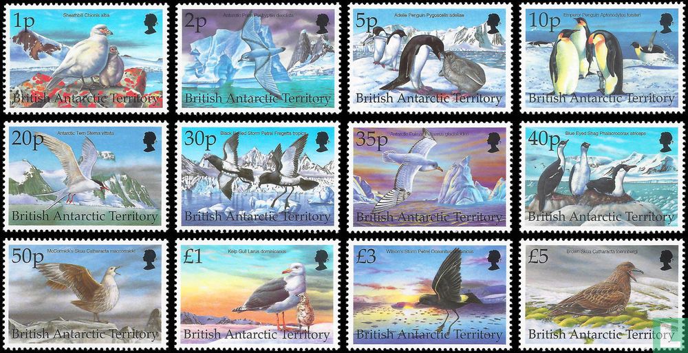 Oiseaux de l'Antarctique