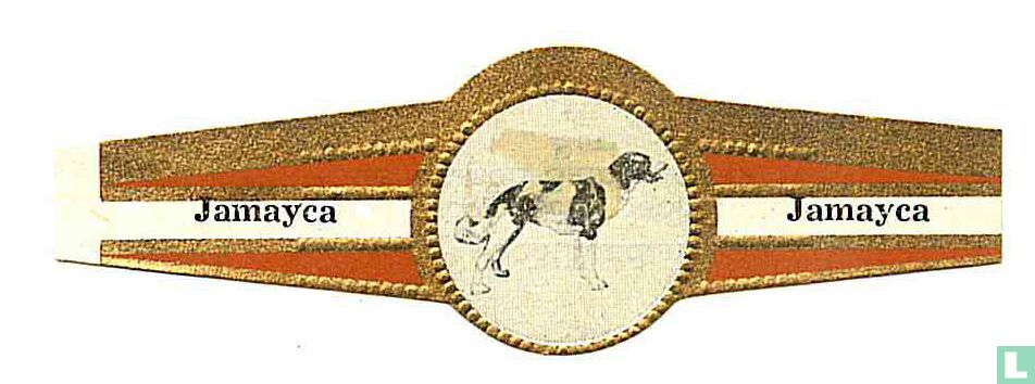 Gascognic Jagdhund