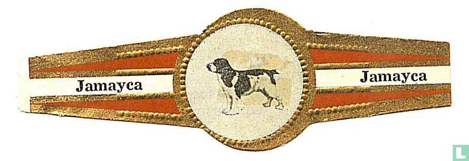 Cocker
