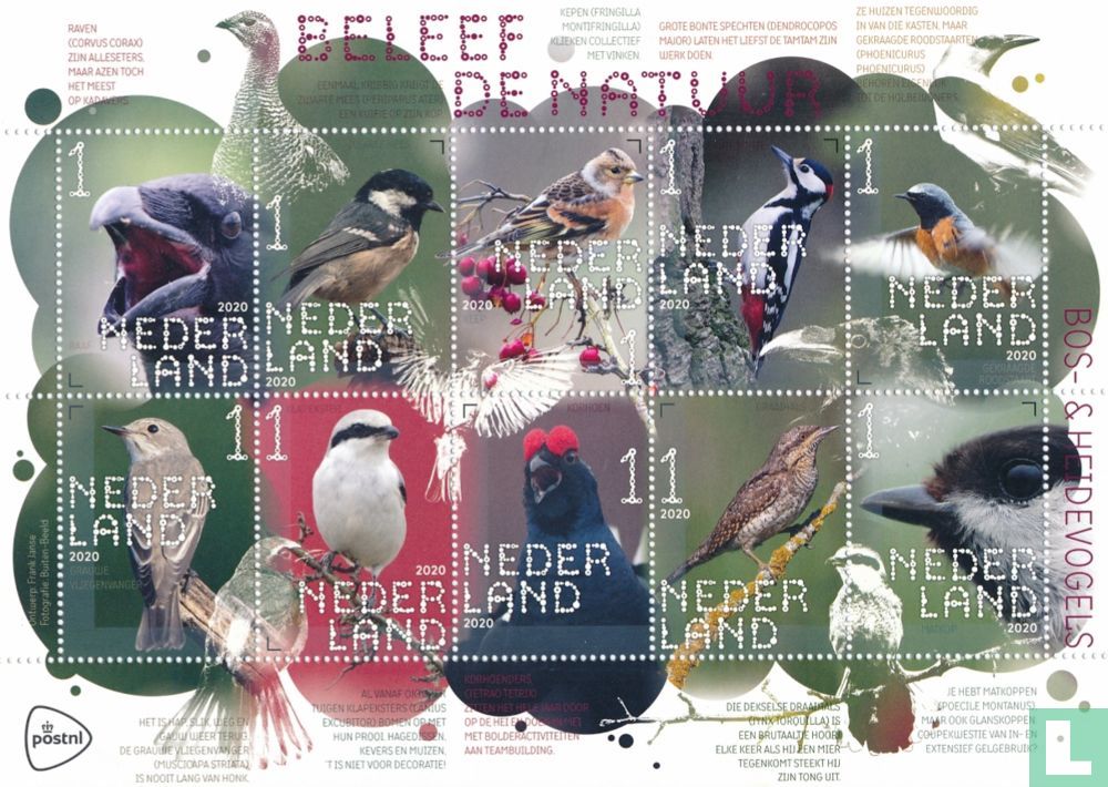 Wald- und Heidevögel
