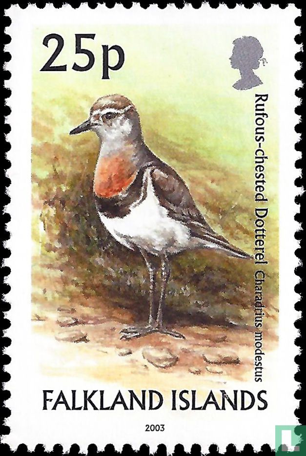 Vögel