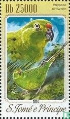 Parrots