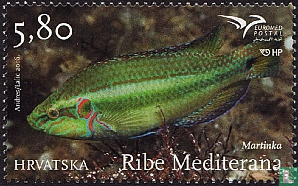 Vissen van de Middellandse Zee 5,80 (2016) - Kroatië - LastDodo