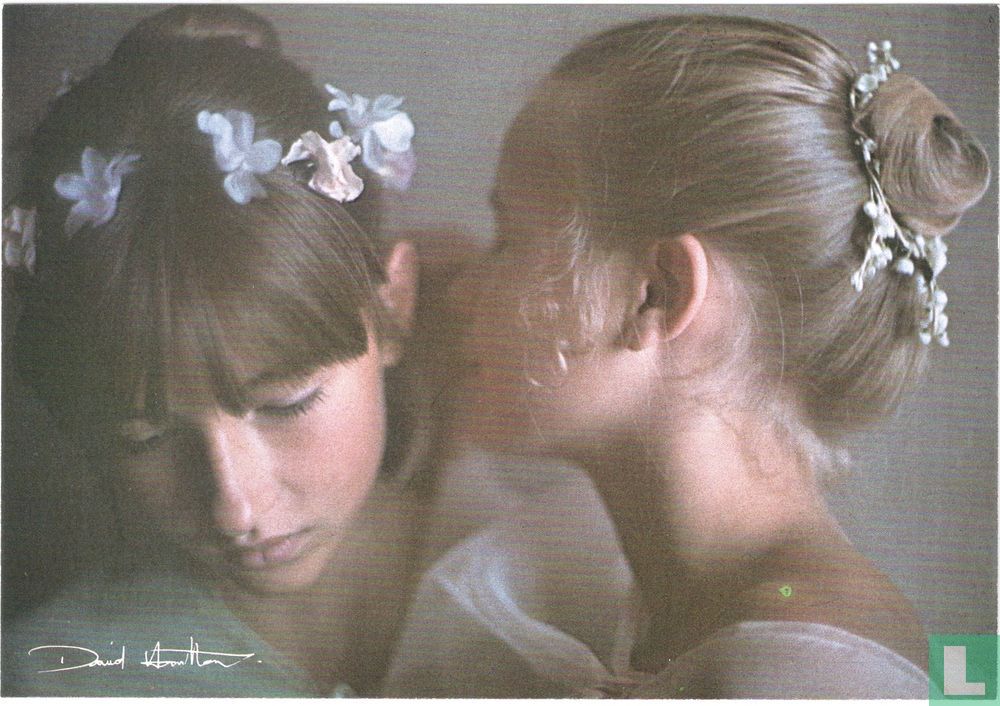 David Hamilton