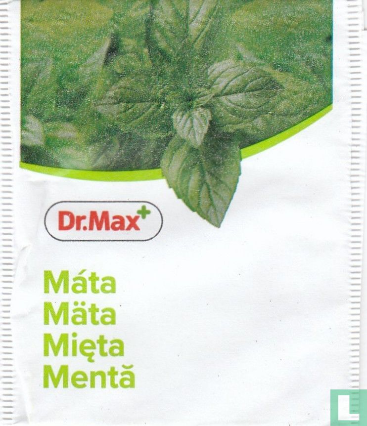 Máta