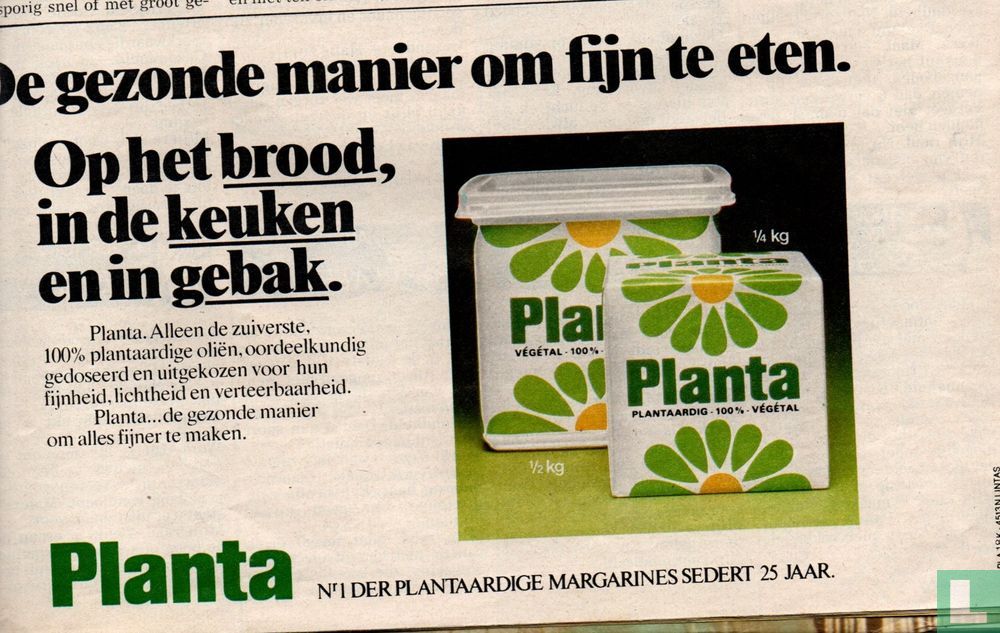 Planta