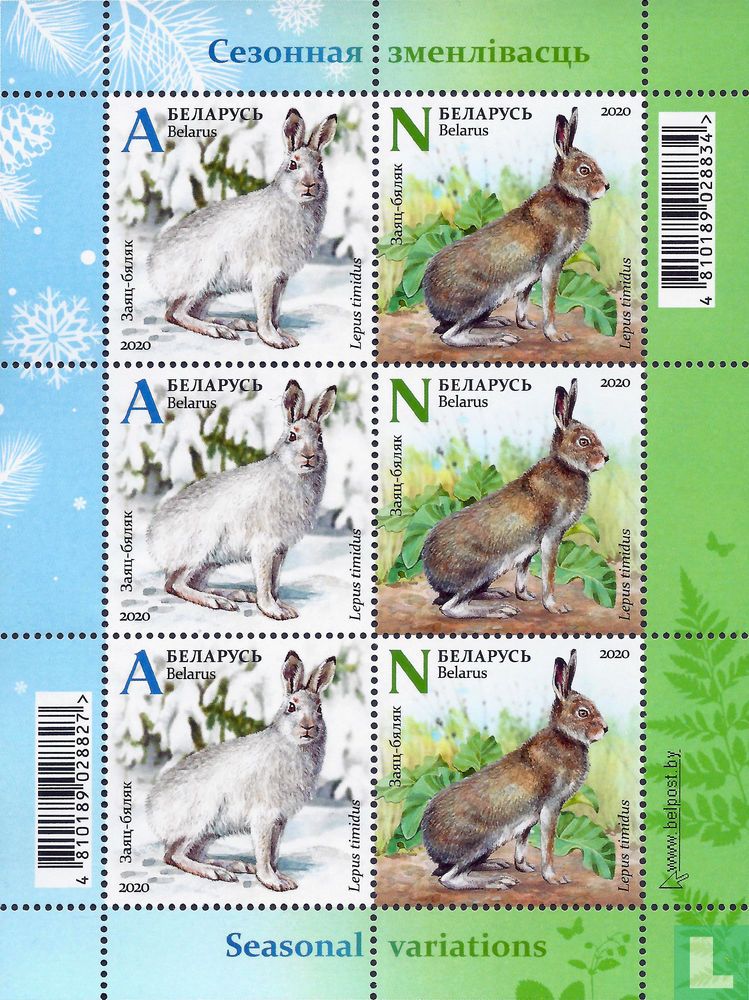 Fauna
