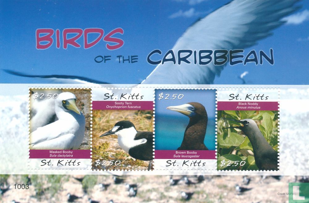 Les oiseaux