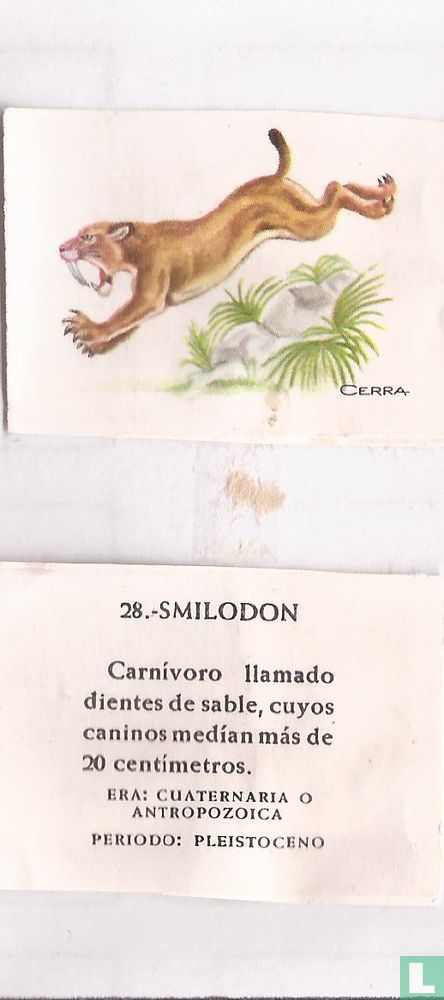 Smilodon
