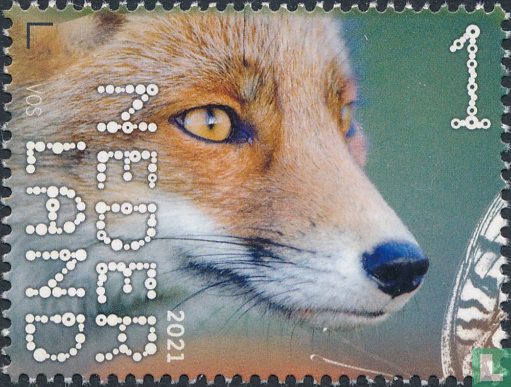 Renard