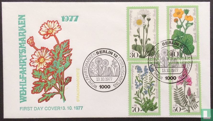 Meadow flowers