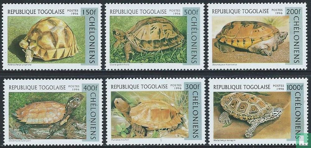 Schildkröten