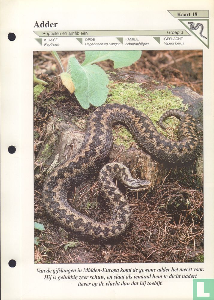 Adder