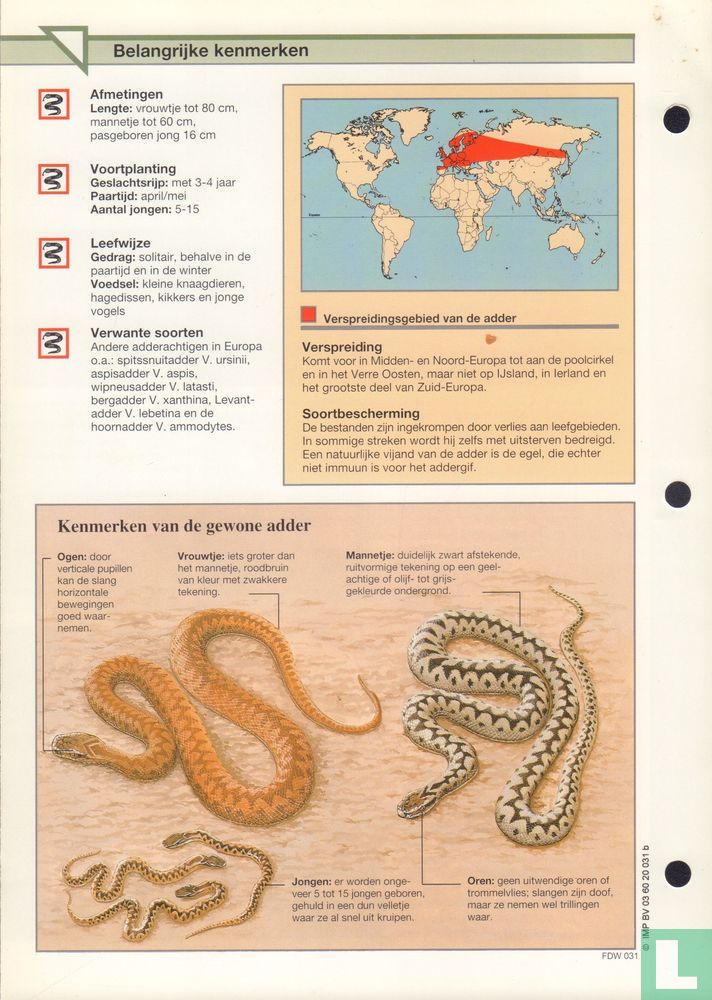 Adder