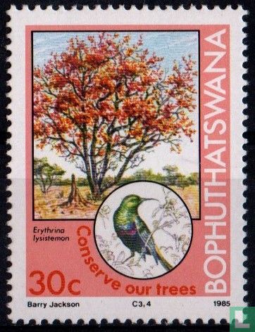 Behoud van de bomen
