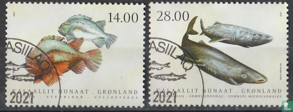 Fische in grönländischen Gewässern
