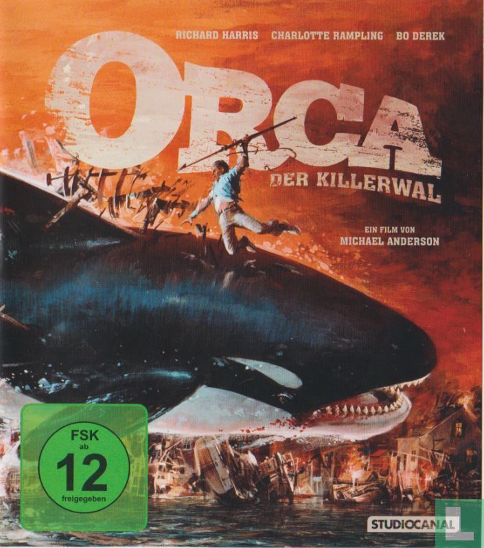 Orca der Killerwal