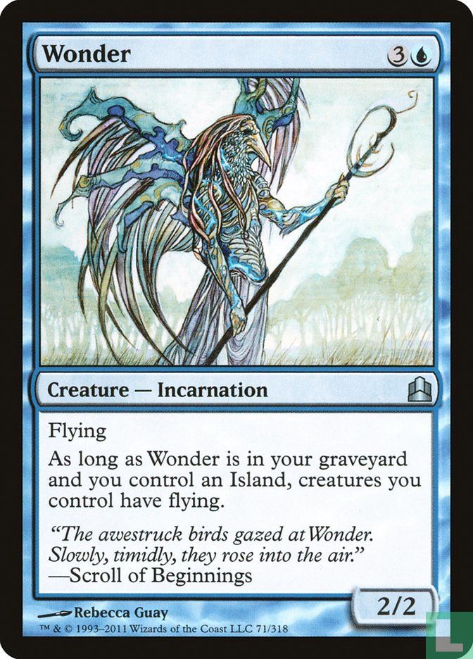 Wonder