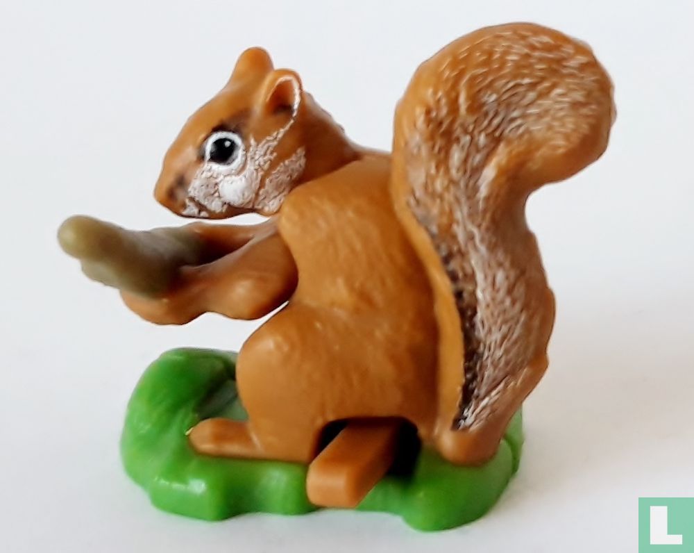 Eekhoorn