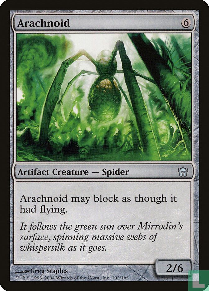 Arachnoid