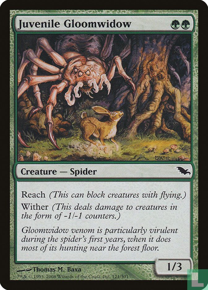 Juvenile Gloomwidow