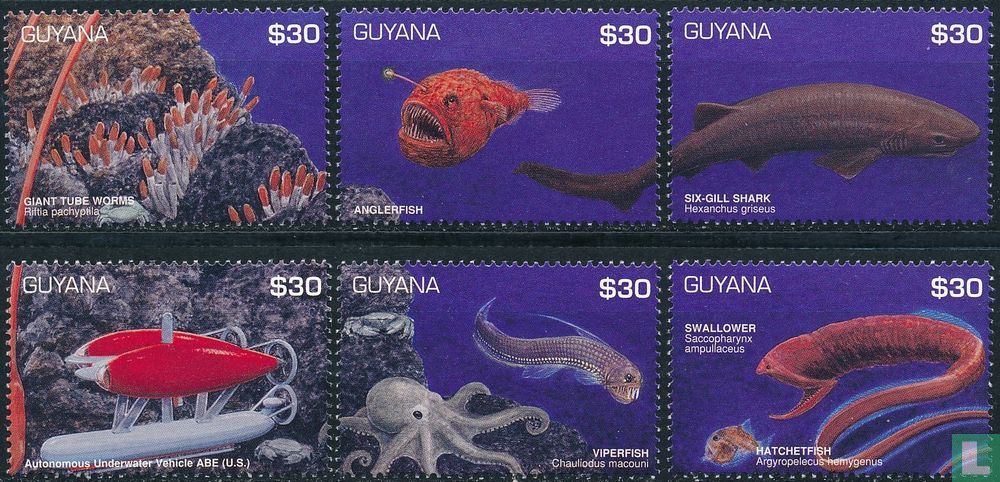 Explorer les océans profonds