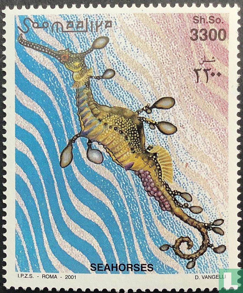 Seepferdchen