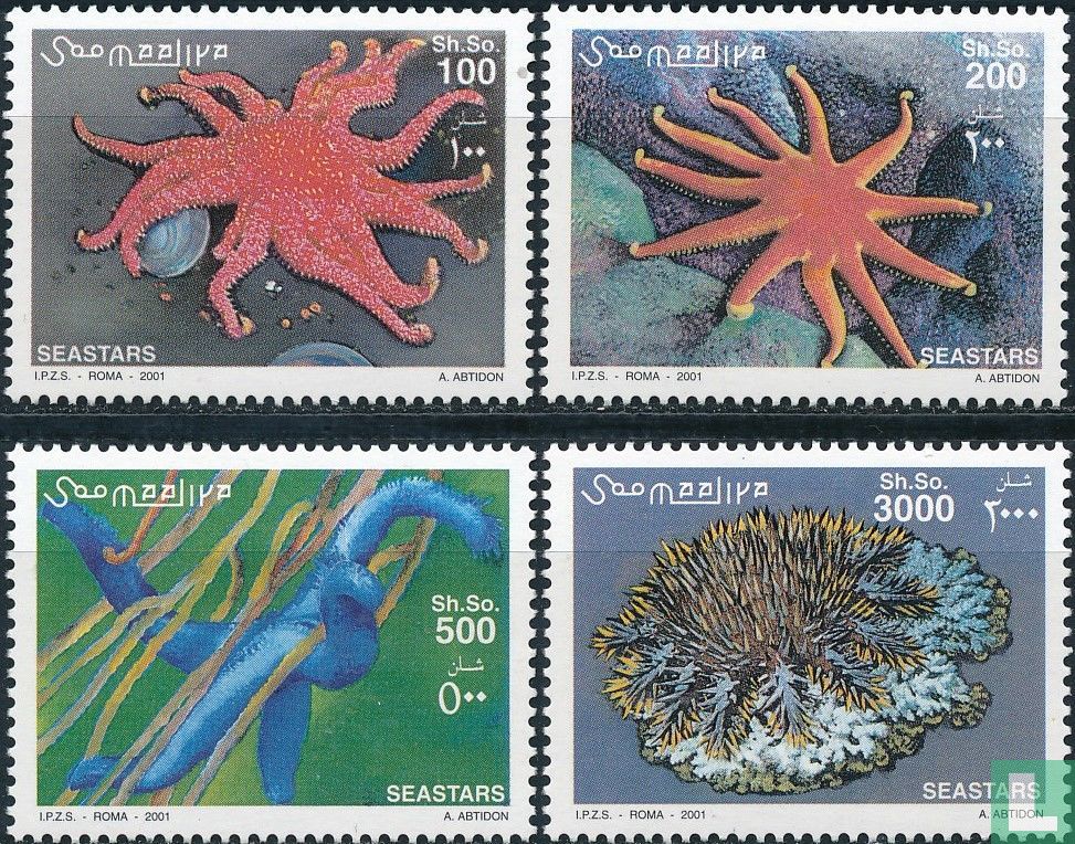 Zeesterren