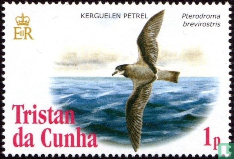 Vögel