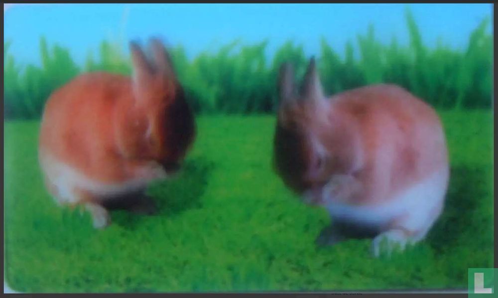 Lapin
