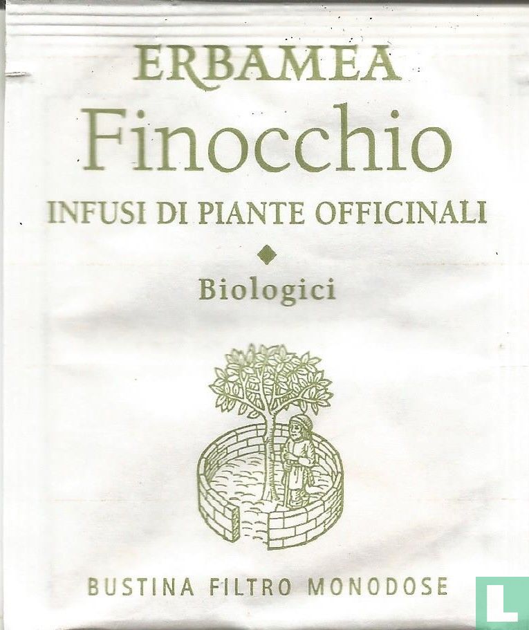 Finocchio 