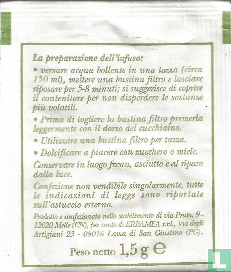 Finocchio 