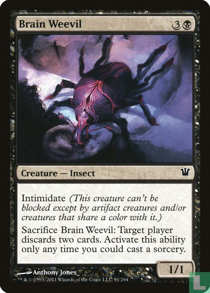 Brain Weevil