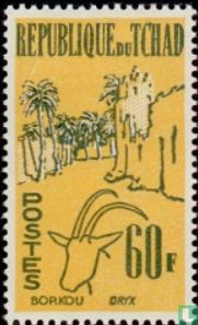 Oryx et Borkou