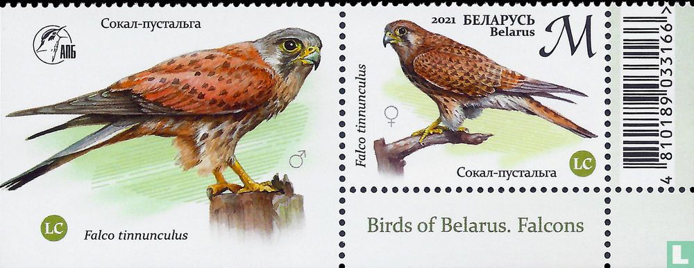 Birds of prey