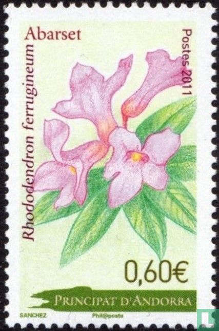Flora