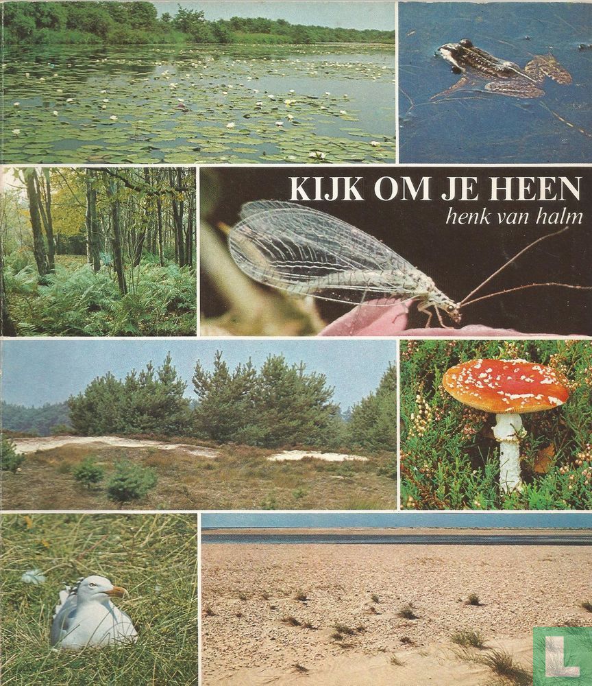 Kijk om je heen