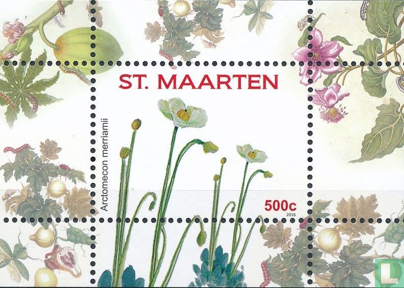 Des fleurs