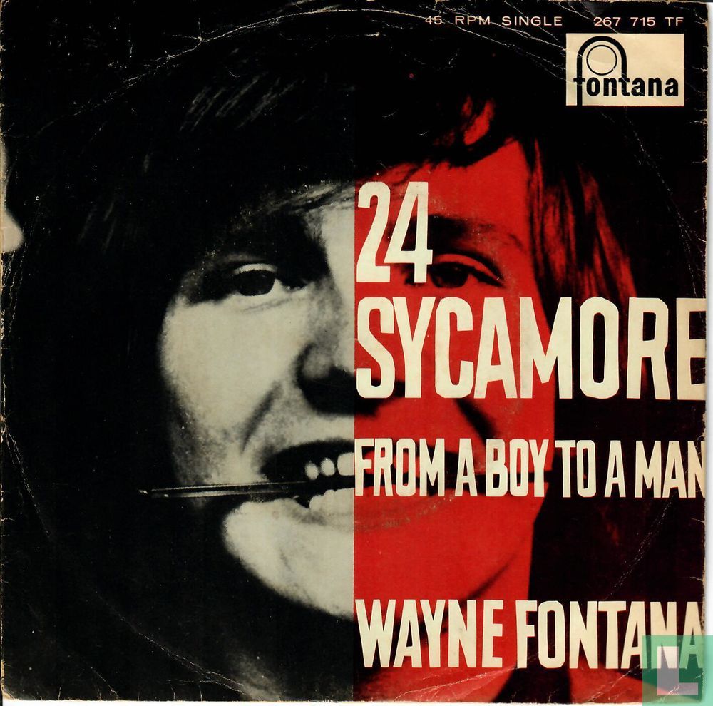 24 Sycamore