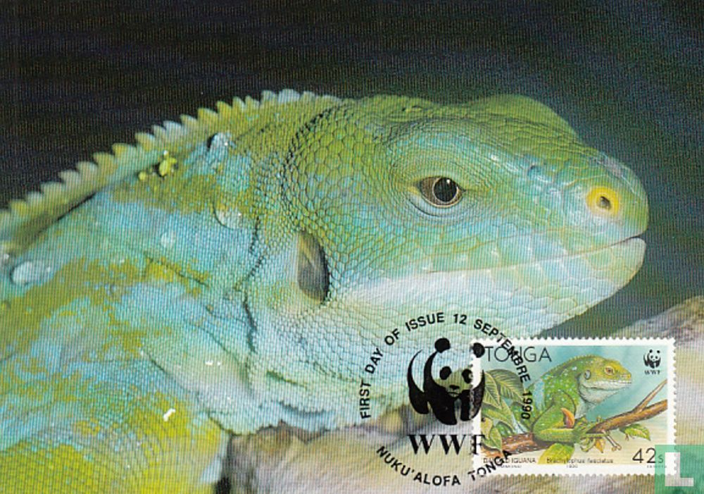 Leguan