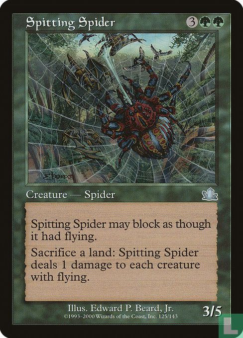 Spitting Spider