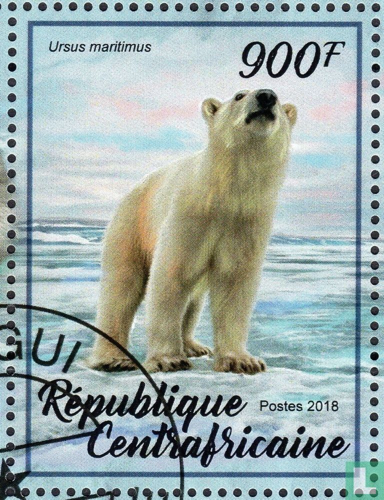 Eisbär