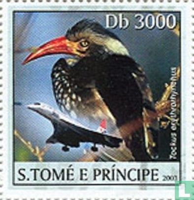 Oiseau