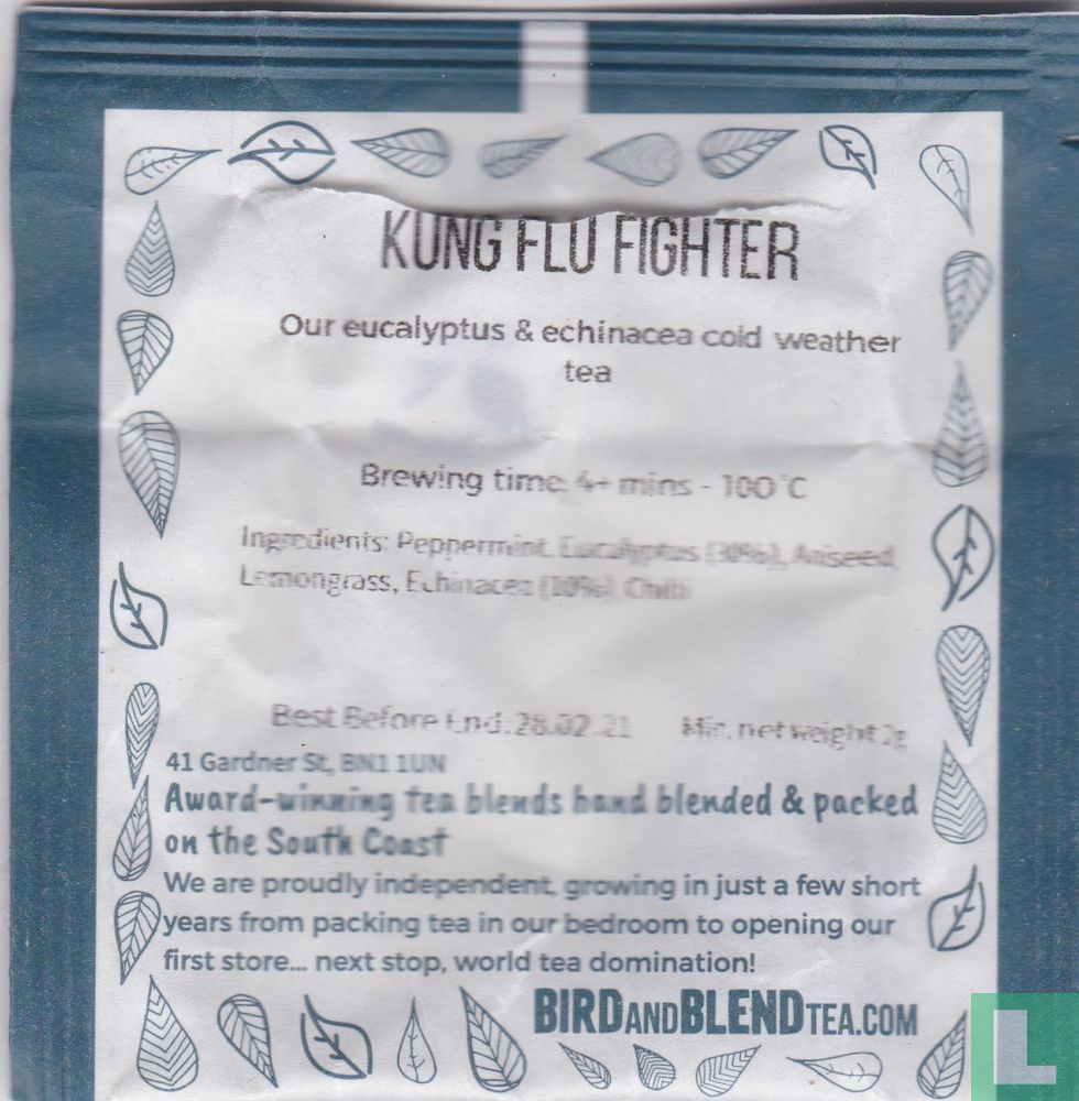 Kung Flu Fighter