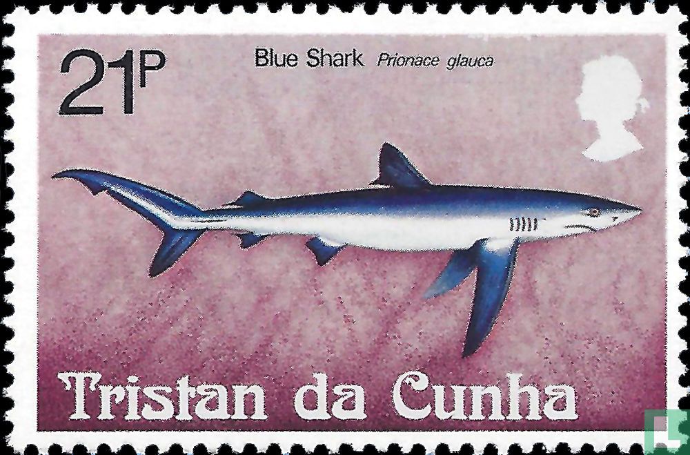 les requins