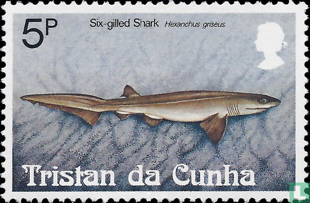 Sharks