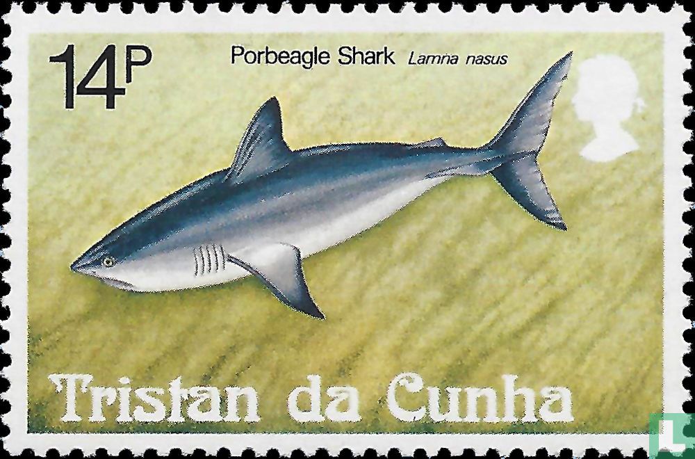 les requins