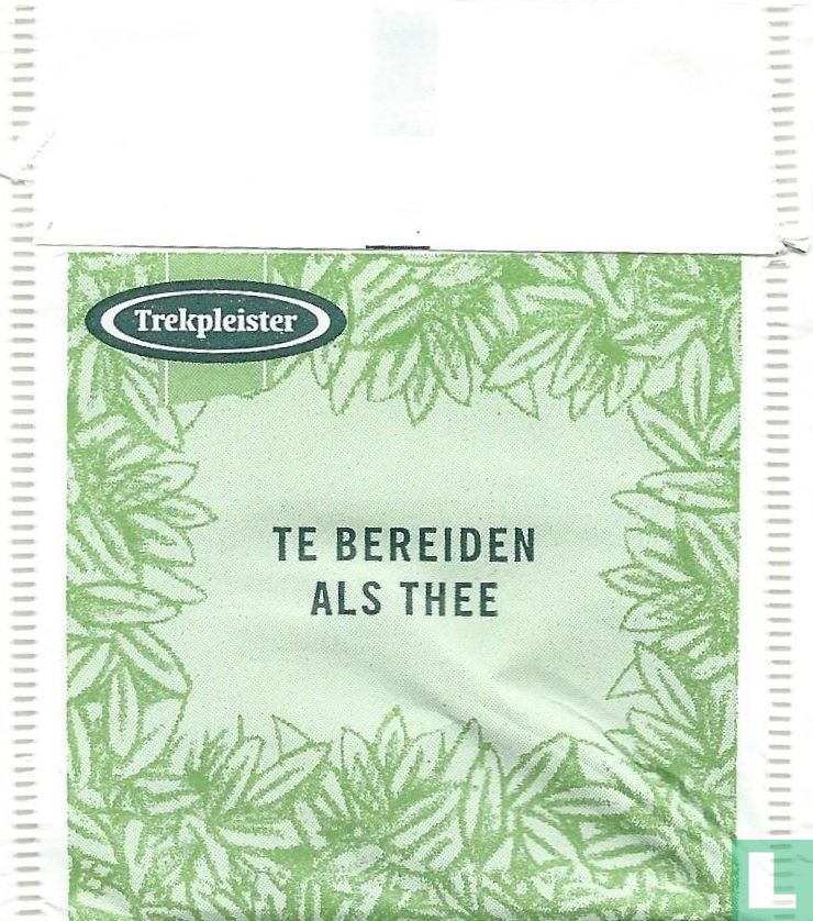 Brandnetel